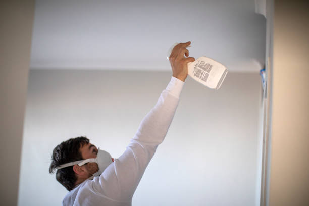 Best Fast Mold Removal  in Wilber, NE